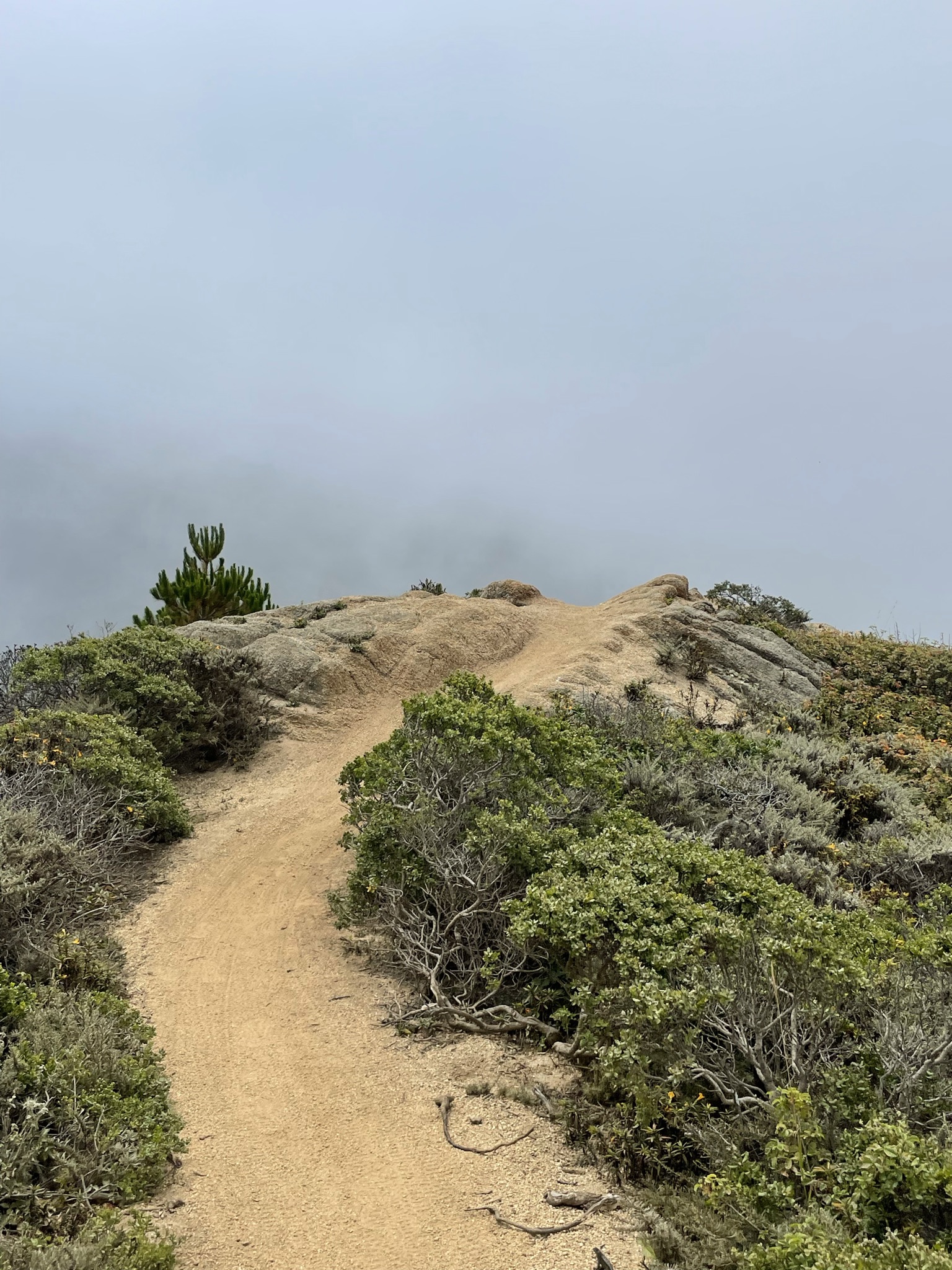 A mound of dirt at the top of a small peak during a descent from Montara.